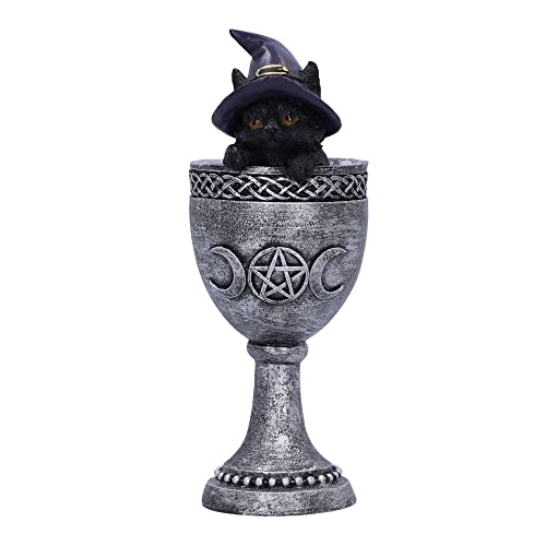Nemesis Now Coven Cup, Argento, 15,7 Cm