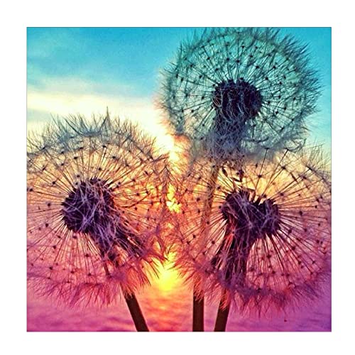 Diy 5D Diamond Painting By Number Kits,Pittura Diamante 5D Fai Da Te Dandelions Pieno Trapano Strass Ricamo A Punto Croce Pictures Arts Craft For Home