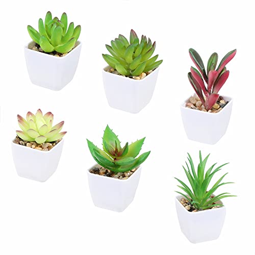 Tifuly 6 Pezzi Piante Succulente In Vaso Artificiali, Piante Grasse Realistiche Piccole Piante Verdi Finte Con Vaso In Melamina Per La Decorazione Del