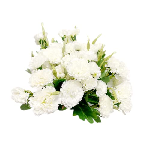 Rikyo 4 Mazzi Di Fiori Artificiali In Seta Bianca, Fiori Permanenti, Bouquet Da 30,5 Cm E Foglie Verdi Per Feste In Casa, Matrimoni E Matrimoni, Decor