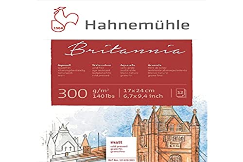 Hahnemühle 10628983 - Blocco Di Acquerelli, Calligrafia, Certificati E Cartoline, 300 G, 12 Fogli