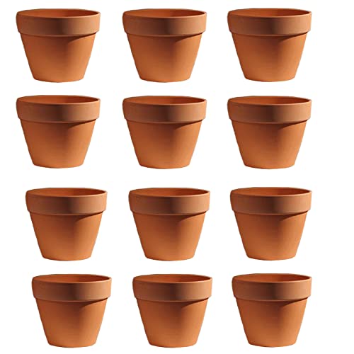 Molyorch 12 Pezzi Vasi In Terracotta,Vaso Terracotta In Argilla Rosso, Piante Terracotta Piccolo Vaso, Argilla Set Vaso, Per Matrimonio Compleanno Cas