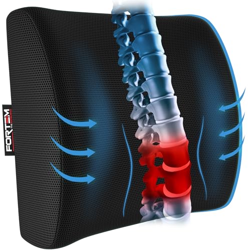 Fortem Cuscino Lombare Per Sedia Da Ufficio, Memory Foam Ortopedico Per Schiena, Per Scrivania, Auto Fodera Lavabile (Nero)