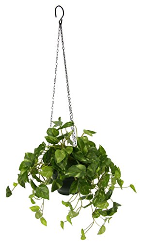 Flair Flower Pothos, Fioriera Sospesa, Edera Fotografica, Appendere, Rampicanti, Fiori Artificiali, Piante, Poliestere, Plastica, Metallo, Verde, 28 X