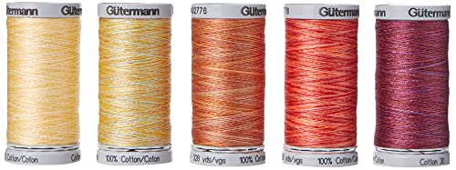 Gutermann Embroidery 30 - Set Di Fili Da Cucito, Per Macchina Da Cucire, 100% Cotone, Blu/Verde Giallo/Rosso