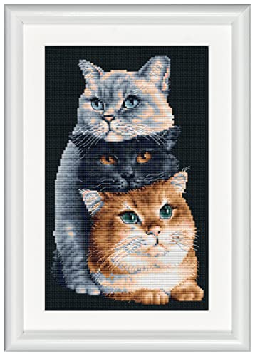 Dutch Stitch Brothers - Kit Punto Croce Contato - Dsb015 - Tre Gatti - Aida Nero - 26 X 18 Cm - Kit Fai Da Te Per Adulti