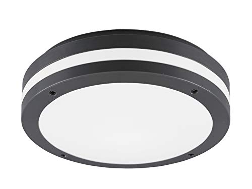Reality Leuchten R62151142 - Plafoniera Led Da Esterni Kendal, In Plastica, 12 W, Colore: Antracite/Bianco