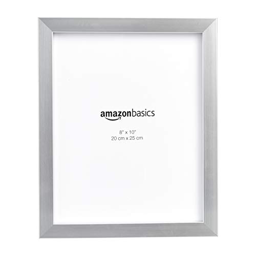 Amazon Basics Rettangolare Cornice Per Foto, 20 X 25 Cm, Confezione Da 2, Nichel, 20.32 X 25.4 Cm