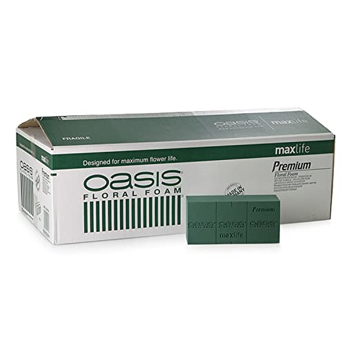 Spugne Scatola 35 Mattonelle Oasis Premium
