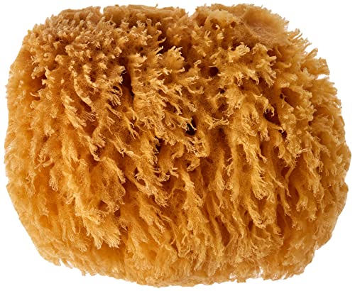 Croll & Denecke M090 - Spugna Naturale Dal Mar Mediterraneo, Qualità Media, 9 Cm