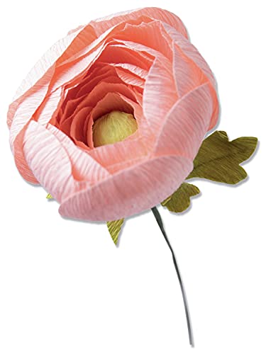 Sizzix Thinlits Die Set 5Pk Ranunculus Di Olivia Rose, 664925, Multicolor, Taglia Unica