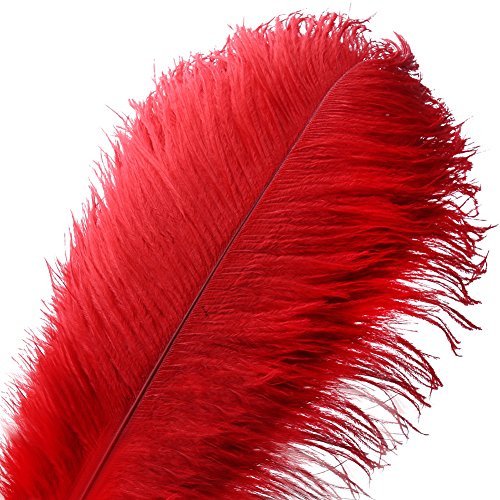 Voilalove 10 Pezzi Naturali Piume Di Struzzo Mestiere 14~16 Pollici (35~40 Cm) Pennacchio Per Centrotavola Di Nozze Decorazione Domestica (Rosso)