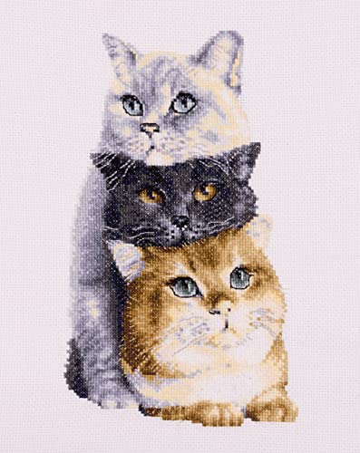 Dutch Stitch Brothers - Kit Punto Croce Contato - Dsb012A - Tre Gatti - Aida Bianco - 26 X 18 Cm - Kit Di Ricamo Per Adulti