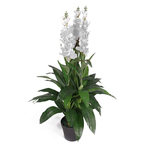 Leaf Leaf-7241 - Pianta Artificiale Cymbidium Orchidea, In Plastica Nera, Extra Large, 90 Cm, Colore: Bianco