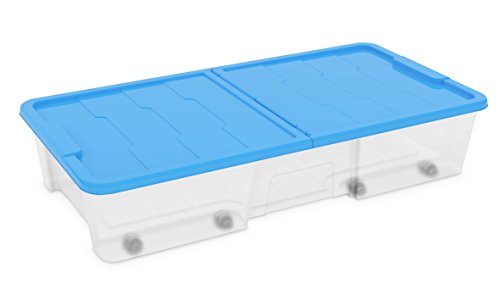 Dea Home Z511M091 Contenitore Master Box, 35 Lt, 77X39X15.5, Trasparente/Blu