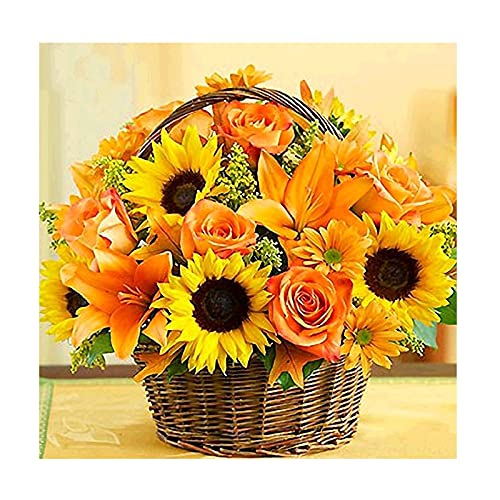 Diamond Painting Gatto Diamond Painting Bambini, Kit Per Diamond Painting, Diamond Painting Kit Completo, Pittura Diamante 5D, Decorazione Per Casa E
