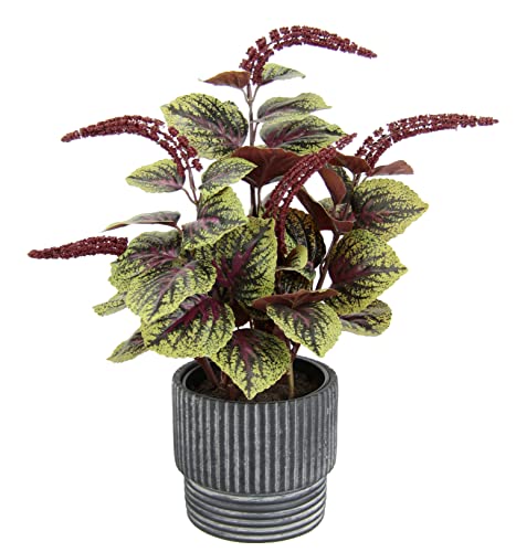 Flair Flower Pianta Artificiale Di Peperomia, Pianta Artificiale, Pianta Di Seta, Fiori Di Seta, Pianta Artificiale, Pianta In Vaso, Pianta Decorativa