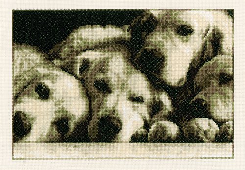 Vervaco Punto Croce Contato Labradors, Bianco