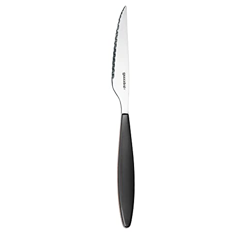 Guzzini Coltello Bistecca Feeling, Grigio, 22.5 Cm