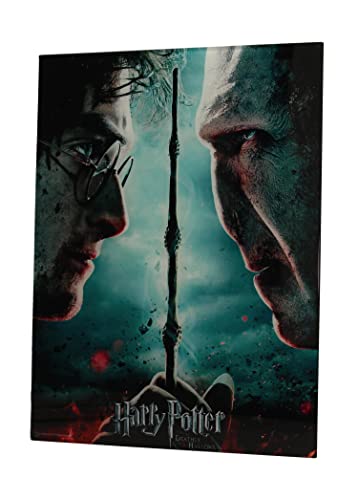 Sd Toys Poster Harry Potter E Voldemort, Multicolore, 41X31X3 Cm