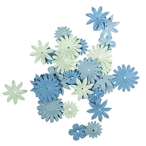 Rayher Cucina, Blu Chiaro, Unica, 36 Unità