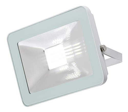 230V Ip65 20W Led Bianco Proiettore 4000K