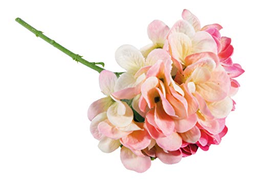 Rayher Ortensia, Rosa Fuchsia, 33Cm