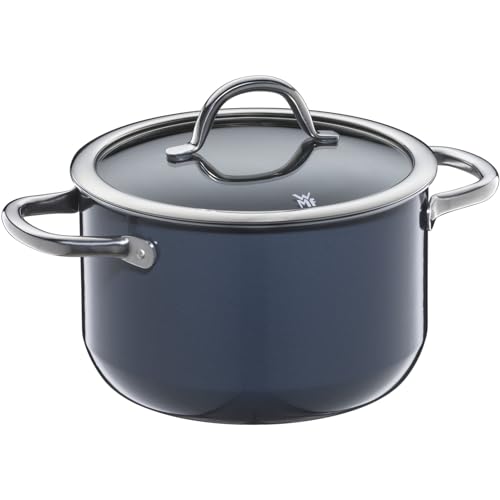 Wmf Fusiontec Inspire - Pentola Grande, 20 Cm, Coperchio In Vetro, Per Carne A Induzione, 3,7 L, In Ceramica High-Tech, Antigraffio, Non Rivestita, Co
