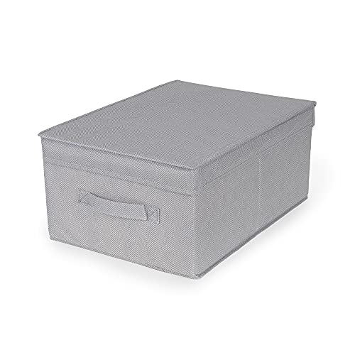 Compactor Scatola Portaoggetti Pieghevole Con Coperchio, Polipropilene Non Tessuto E Cartone, 30 X 43 X 19 Cm, Gamma Boston, Grigio, Ran10906