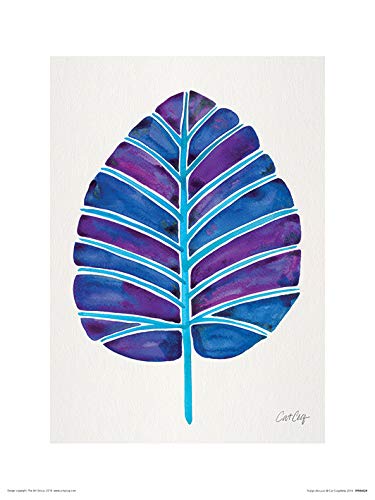 Cat Coquillette Stampe, Multi-Colour, 30 X 40 Cm