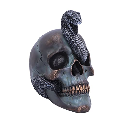 Nemesis Now Serpentine Destino Teschio, Grigio, 19Cm, 19 Cm
