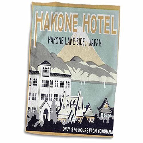 3Drose Vintage Hotel Hakone Lake-Side, Japan Luggage Label, Colore: Bianco, 15 X 55,9 Cm
