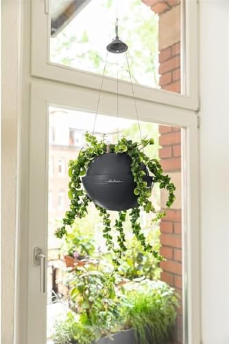 Lechuza Vaso Bola Color 32 (Grigio)