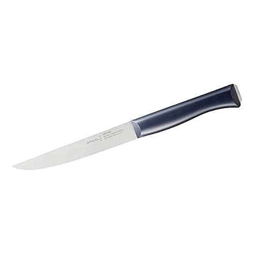 Opinel 254523 Intempora Ii - Coltello Da Carne, 29,5 Cm, Colore: Argento