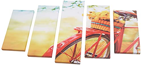 Homemania 5Bmcan-044 Quadro Bicycle, Disegno Cornice, Multicolore In Legno, 20 X 60 X 3 Cm