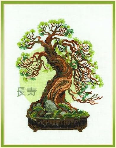 Riolis - Set Ricamo Con Motivo Pino Bonsai Della Longevità