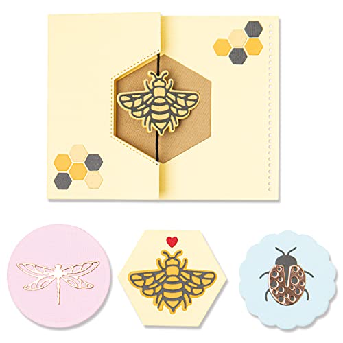 Sizzix Thinlits Die Set 16Pk Summer Spinner Card Di Lisa Jones | 665886 |Capitolo 2 2022, Plastica Carta, Multicolor, One Size
