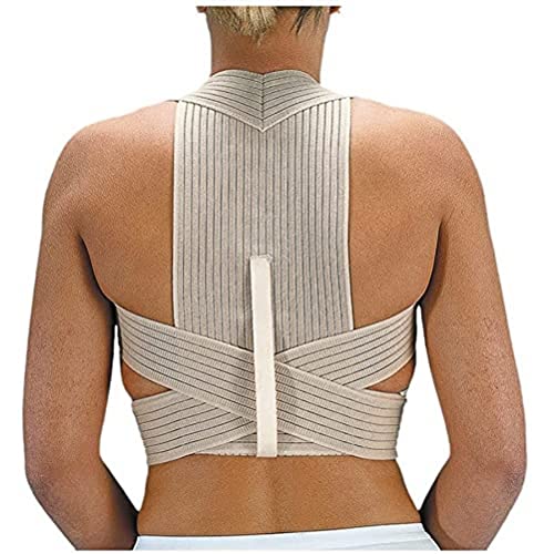 Emo Spec.Medico-Ortop.Sl Qo-00221/03 - Spalliera Emo Pl210 Transp. Al.T/3 (L)