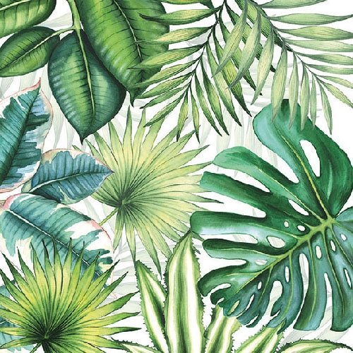 Ambiente Tovaglioli Da Tavolo/Festa/Festa Ca. 33 X 33 Cm, Foglie Tropicali, Ideale Come Regalo