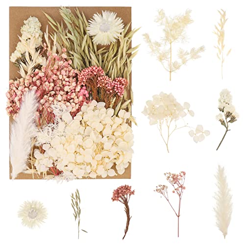 Bohoman Fiori Secchi Naturali, Veri Fiori Secchi Per Resina Misti Petali E Foglie Di Fiori Pressati Fiori Secchi Eterna Fiore Per Fai Da Te Scrapbooki