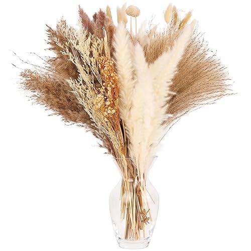 Belle Vous 104 Pezzi Erba Pampas Essiccata Bianca Naturale Assortita - Steli Da 35-46 Cm - Decorazioni Casa Con Erba Da Pampa, Canne, Code Di Coniglio