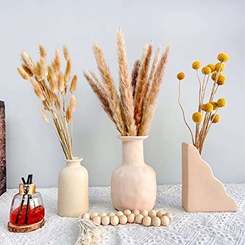Fiori Secchi Decorativi,Erba Della Pampas Decorative 55 Pezzi Set Di Erba Di Pampa Naturale Fiori Secchi Decorativi Per Matrimoni, Feste, Boho Decor
