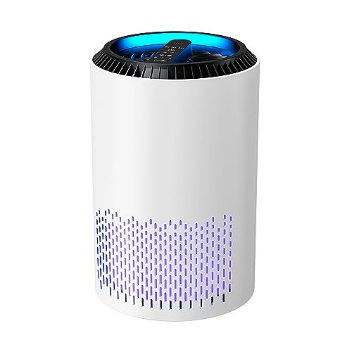 Purificatore D' Aria Portatile Air Purifier Con Filtro Hepa H13 22 Watt Elimina Odori Pollini Polvere Con Timer Ideale Per Camera Da Letto Soggiorno B