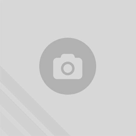 Termozeta 75209 Friggitrice Inox