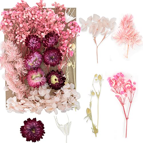 Fiori Secchi Naturali, Fiori Secchi Per Resina, Fiori Secchi Per Decorazioni, Decorazioni Floreali, Naturali Pressati Fiori Fiori Secchi Misti Per Man