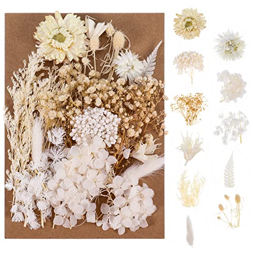 Bohoman Fiori Secchi Naturali, Veri Fiori Secchi Per Resina Misti Petali E Foglie Di Fiori Pressati Fiori Secchi Eterna Fiore Per Fai Da Te Scrapbooki