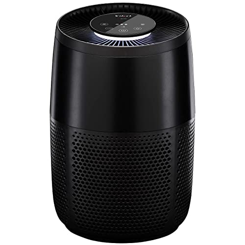 Instant Air Purifier Ap100, Purifier Rimuove Il 99,9% Di Batteri, Virus E Spore Di Muffa. Sistema Di Filtraggio Avanzato 3 In 1 Hepa/Purificatore D'Ar
