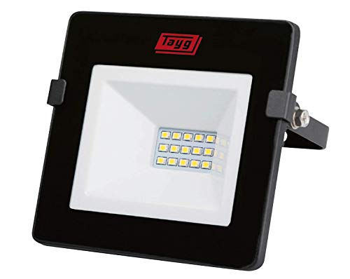 Proiettore Led (10 W)