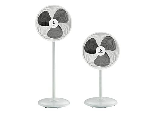 Beper P206Ven152 Ventilatore A Piantana E Ventilatore Da Tavolo, 2 Altezze In 1 - Ventilatore Basso Consumo