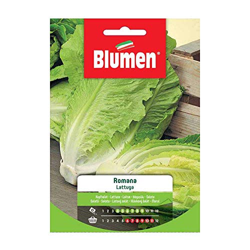 Semi Lattuga Romana Blumen Sementi Orto